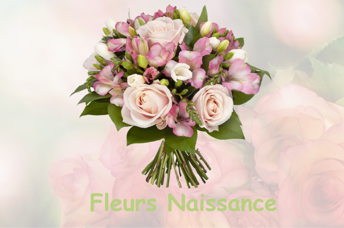 fleurs naissance BREUX