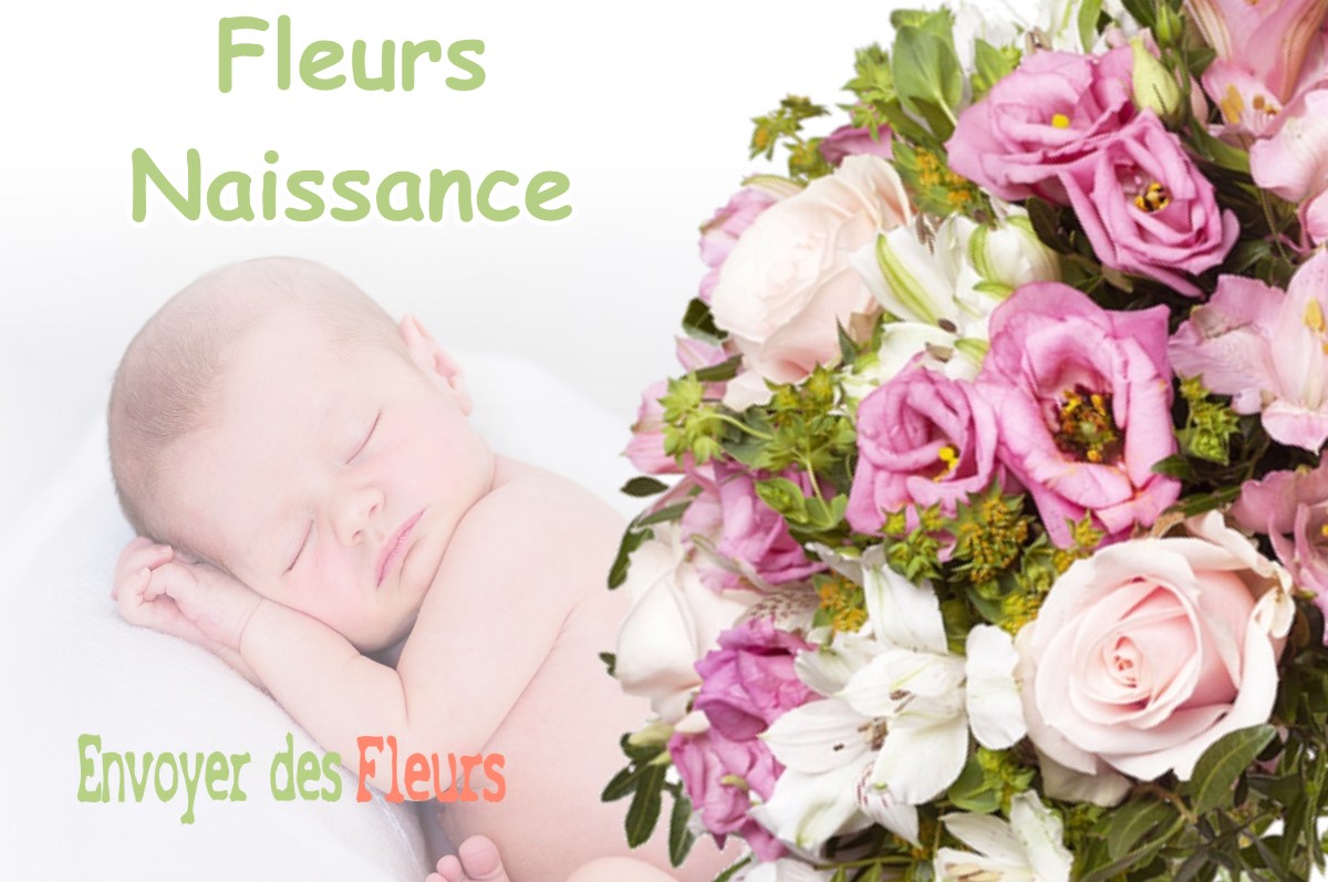 lIVRAISON FLEURS NAISSANCE à BREUX